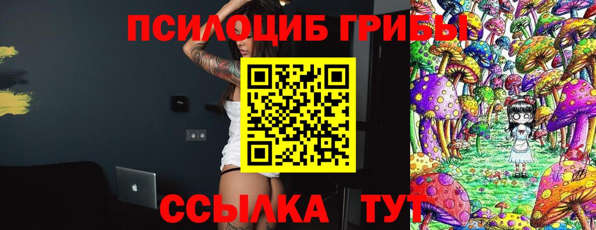 Псилоцибиновые грибы мицелий  Вход с VPN  Острогожск 